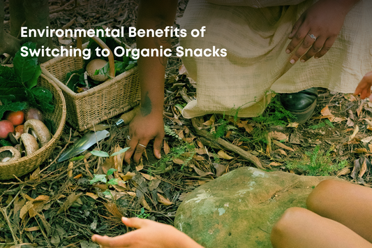 Environmental Benefits of Switching to Organic Snacks