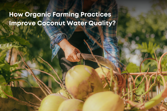 How Organic Farming Practices Improve Coconut Water Quality?