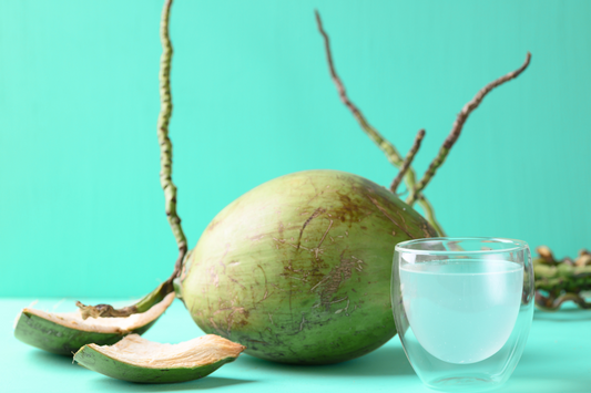 Young coconut water in a shell - graphics 