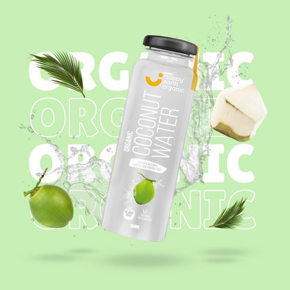Organic Coconut Water Glass Bottle 12pcs